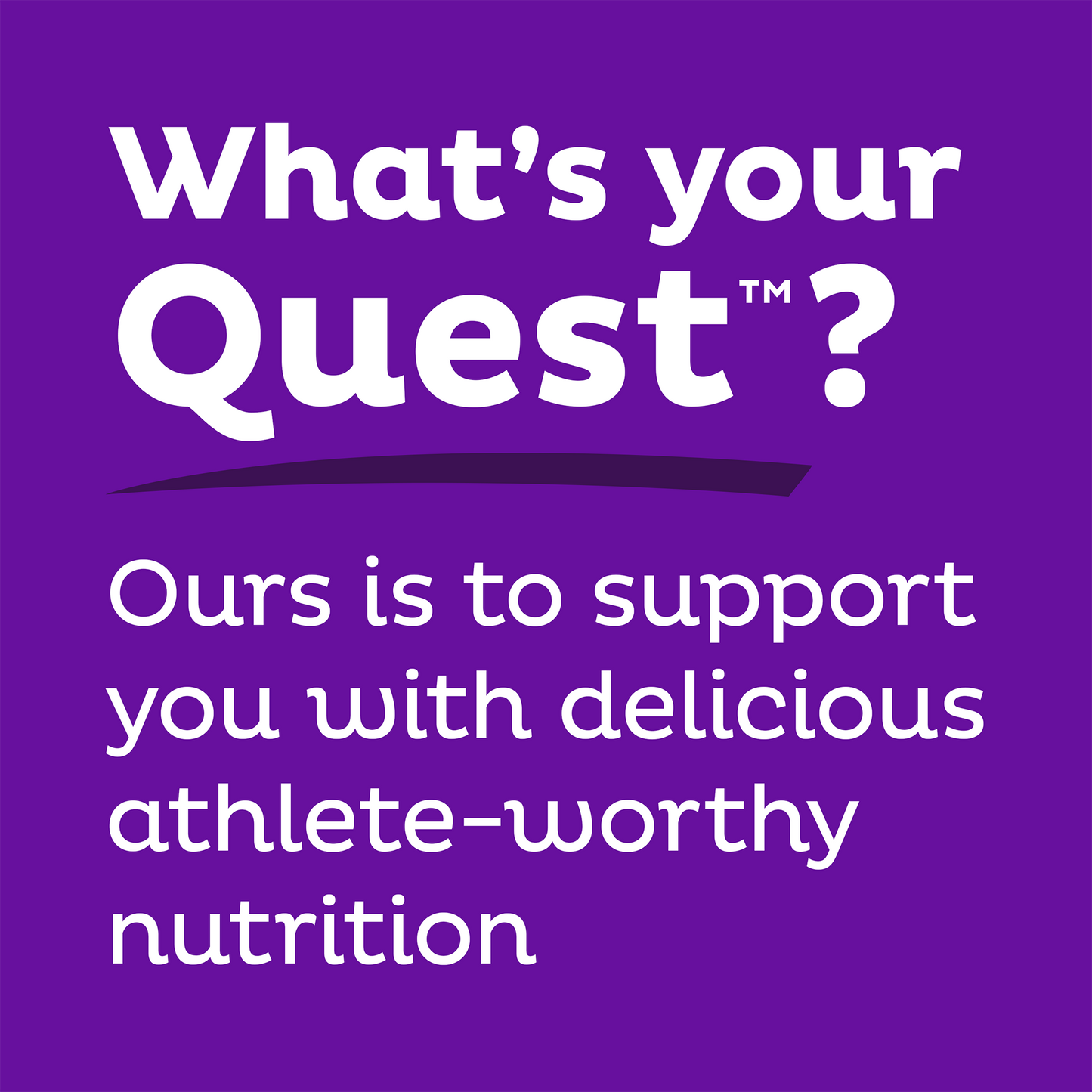 double-chocolate-chunk-protein-bars-m9 qst-000241_double-chocolate-chunk-protein-bars_9.png